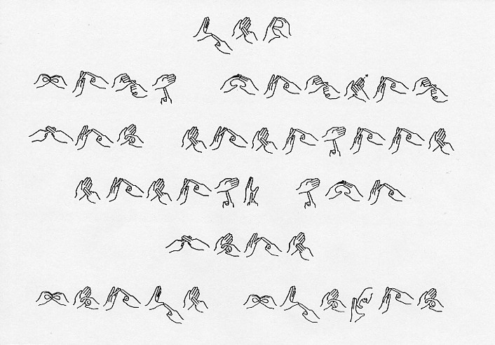 Inside page of 1991 card